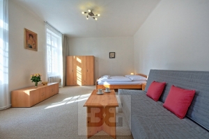 Spacious and sunny apartment a few steps from the National Theatre