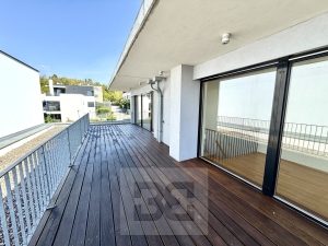 Luxury house with garden, two terraces and a garage at Jinonice