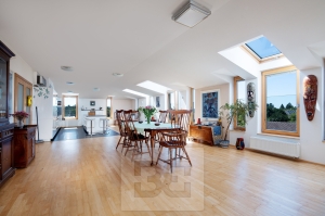 Luxury 3-bedroom apartment in Pruhonice