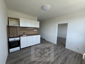 Pronájem bytu 1+1, 36 m² - Písek - Budějovické Předměstí