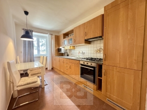 Pronájem bytu 1+1 50 m², Brno - Černá Pole