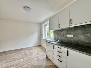 Rent commercial Surgery, 50 m² - Střelice