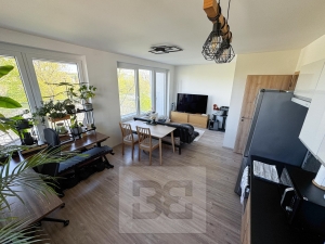 Renting a 2+kk apartment with a balcony and a garage