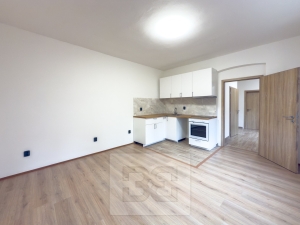 Pronájem byty 2+kk, 48 m² - Brandýs nad Labem-Stará Boleslav - Brandýs nad Labem