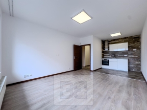 Very nice 1BED apartment with balcony  in Prague Zličín