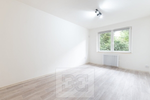 Rent flat 1+1 27 m², Milovice - Mladá