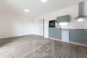 Rent flat 1+KK 37 m², Plzeň - Skvrňany