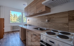 Rent flats 3+1 78 m², Chomutov