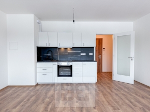 Pronájem byty 1+kk, 37 m² - Liberec X-Františkov