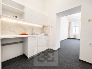 Rent flats 1+1 40 m², Brno - Zábrdovice
