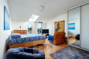 Luxury 3-bedroom apartment in Pruhonice