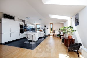 Luxury 3-bedroom apartment in Pruhonice