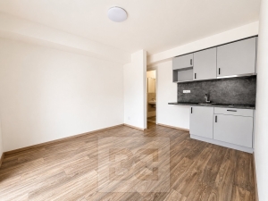 Rent flats 1+KT, 30 m² - Střelice