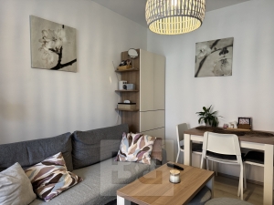 Pronájem byty 1+kk, 40 m² - Brno - Husovice