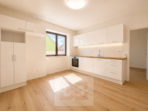 Rent flats 2+1 65 m², Střelice