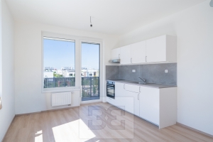 Rent flats 1+KT 34 m², Praha - Dolní Měcholupy