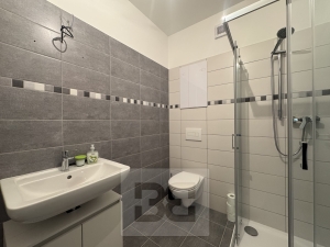 Pronájem bytu 1+kk 33 m², Polná