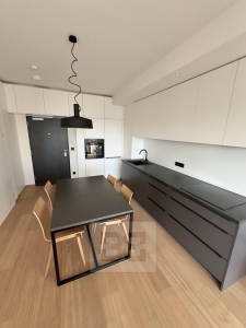 Apartment for rent, 2+kk, 43 m² - Prague - Holešovice