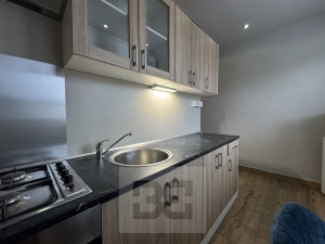 Rent flats 1+1 43 m², Brno - Štýřice