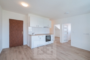 Rent flats 3+KT 35 m², Praha - Hodkovičky