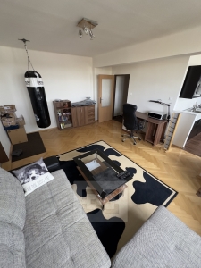 Krásný byt 2+1 s krásným výhledem v Benešově