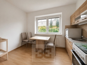 Rent flats 2+1 45 m², Brno - Židenice