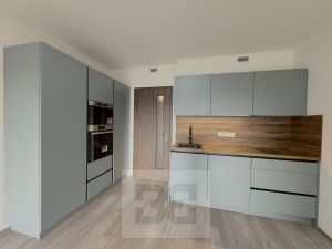 Apartment for rent 1+Kk 37 m², Praha - Hloubětín