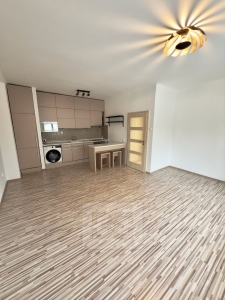 Pronájem bytu 2+kk 50 m², Praha - Žižkov