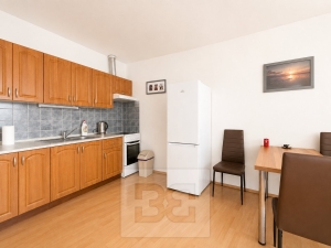Rent flats 1+KT 56 m², Rajhrad