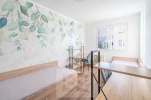 Rent flats 3+1 63 m², Hradec Králové - Slezské Předměstí