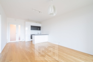 Rent flats 2+KT 63 m², Praha - Holešovice