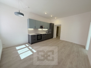 Apartment for rent  3+Kk, 79 m² - Praha - Smíchov