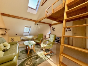 Pronájem byty 2+kk, 60 m² - Velké Opatovice