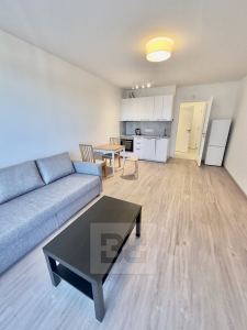 Pronájem bytu 1+kk, 33 m² s garážovým stáním v ceně