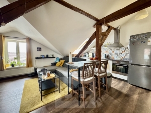 Rent flats 3+KT 100 m², Brno - Horní Heršpice