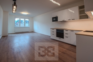 Rent flats 2+KT 66 m², Liberec X-Františkov
