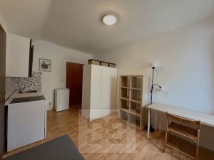 Apartment for rent  1+Kk 21 m², Praha - Řepy