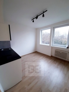 1+kk apartment for rent in the V block project