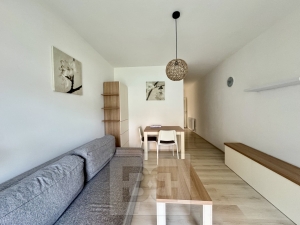 Pronájem byty 1+kk, 40 m² - Brno - Husovice