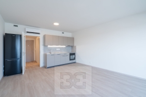 Rent flats 1+KT 32 m², Praha - Hloubětín