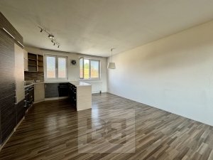 Pronájem byty 5+kk, 140 m² - Podolí