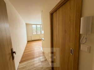 Pronájem zkenkonstruovaného 1+kk 23 m² v Dolní Bělé