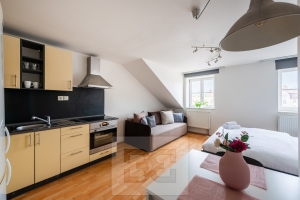 Pronájem bytu 1+kk 32 m²