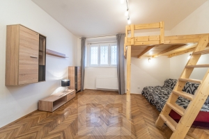 Pronájem bytu 1+1 29 m², Praha - Podolí