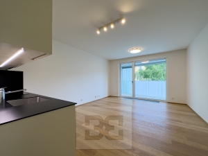 Rent flats 1+KT, 38 m² - Praha - Michle