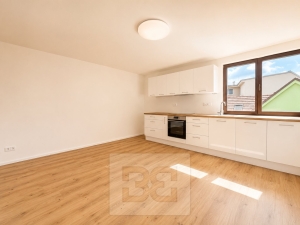 Rent flats 3+KT 72 m², Střelice