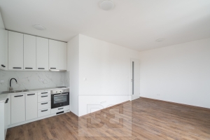Rent flats 1+KT 31 m², Kutná Hora - Žižkov