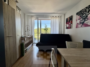 Pronájem bytu 1+kk 25 m², Brno - Královo Pole