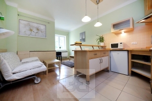 Zařízený 1+kk 27m² v Nuslích