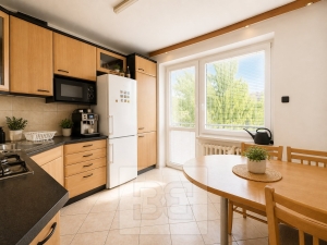 Rent flats 3+1 74 m², Brno - Žabovřesky